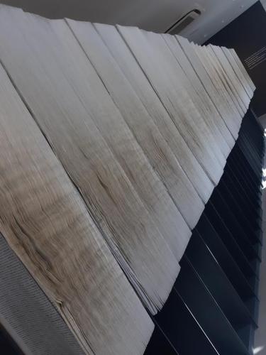 20190227 115506 (Copy)