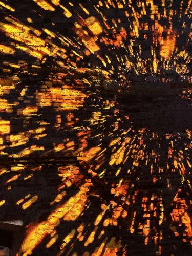 2025-11-26-wycieczka-wawel-11