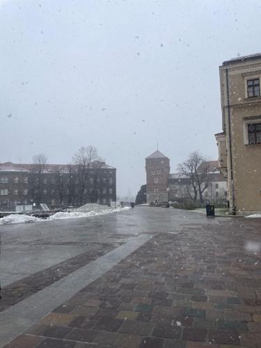 2025-11-26-wycieczka-wawel-3