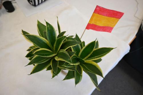 2025-04-29-kuchnie-swiata-14