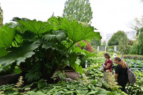 2025-06-16-wycieczka-ogrod-botaniczny-6