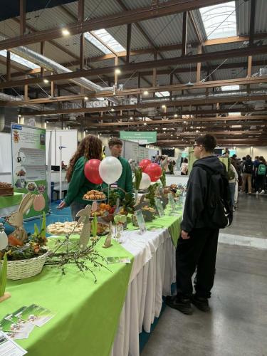 festiwal-zawodow-2026-3