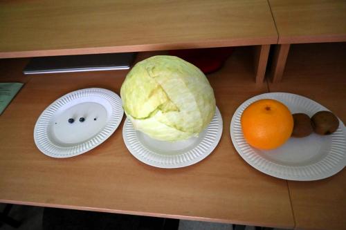 konkurs-kosmiczna-kuchnia-kopernika-2026-2