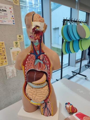 warsztaty-cogiteon-2026-8